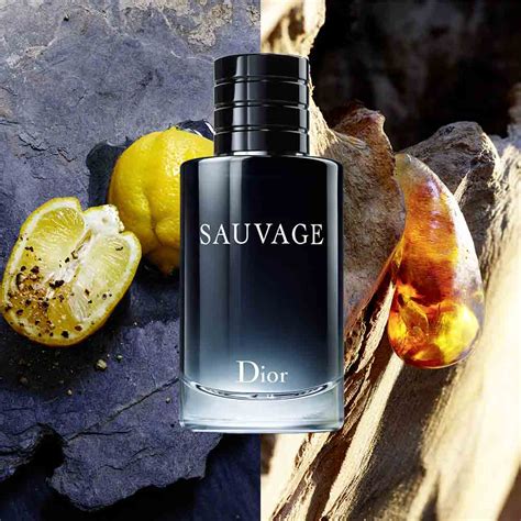 dior sauvage edt spray where|sauvage dior refills.